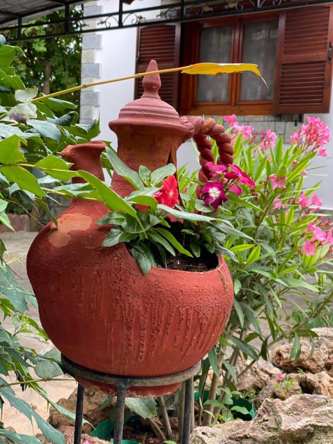 Beachfront Cottage Nea Triglia Ngoại thất bức ảnh