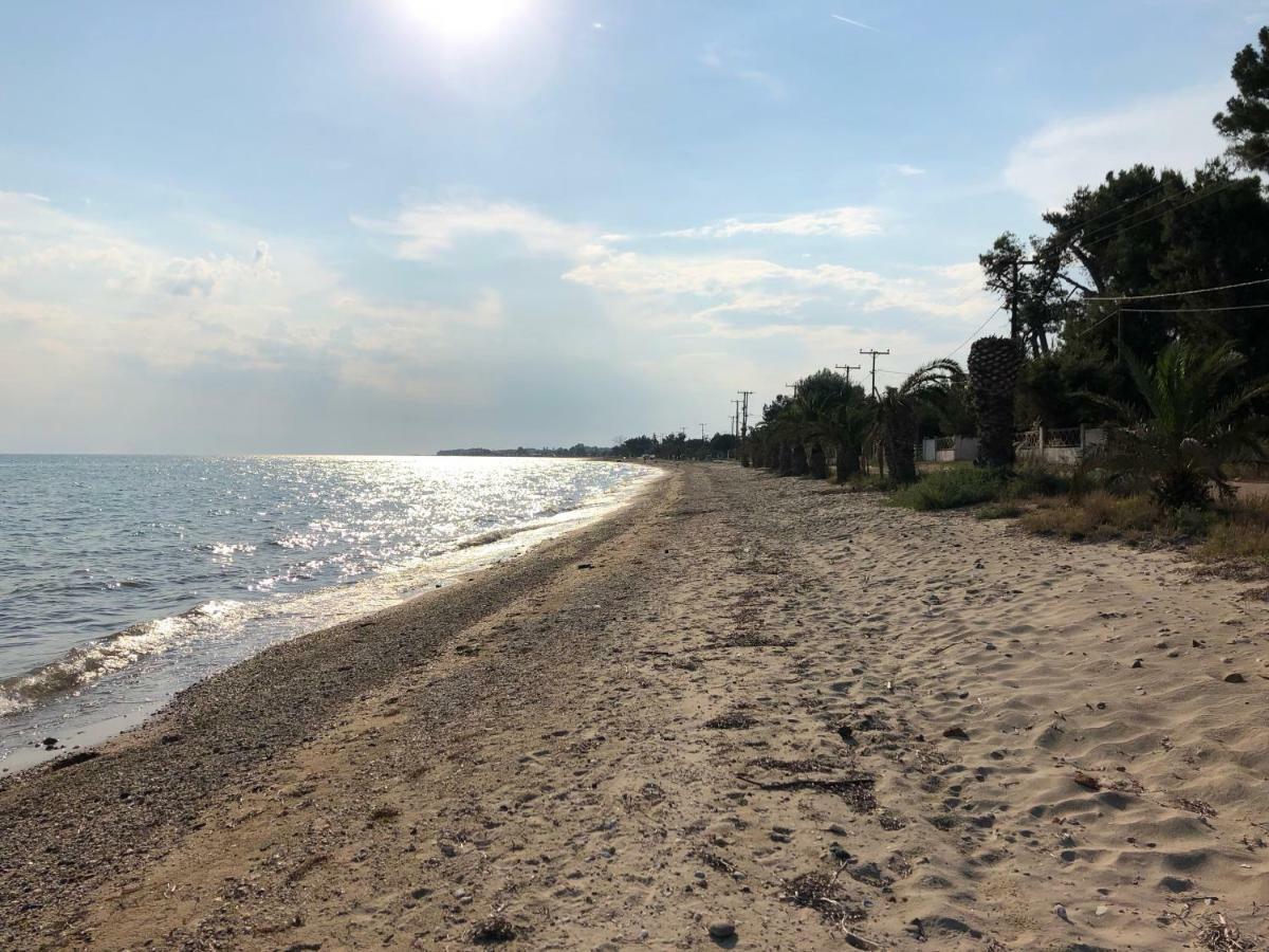 Beachfront Cottage Nea Triglia Ngoại thất bức ảnh